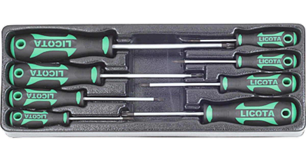 Module 8 tournevis torx